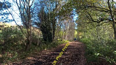 Foto 6x4 ein weiteres altes Eisenbahn Gleisbett Dodworth Bottom c2015