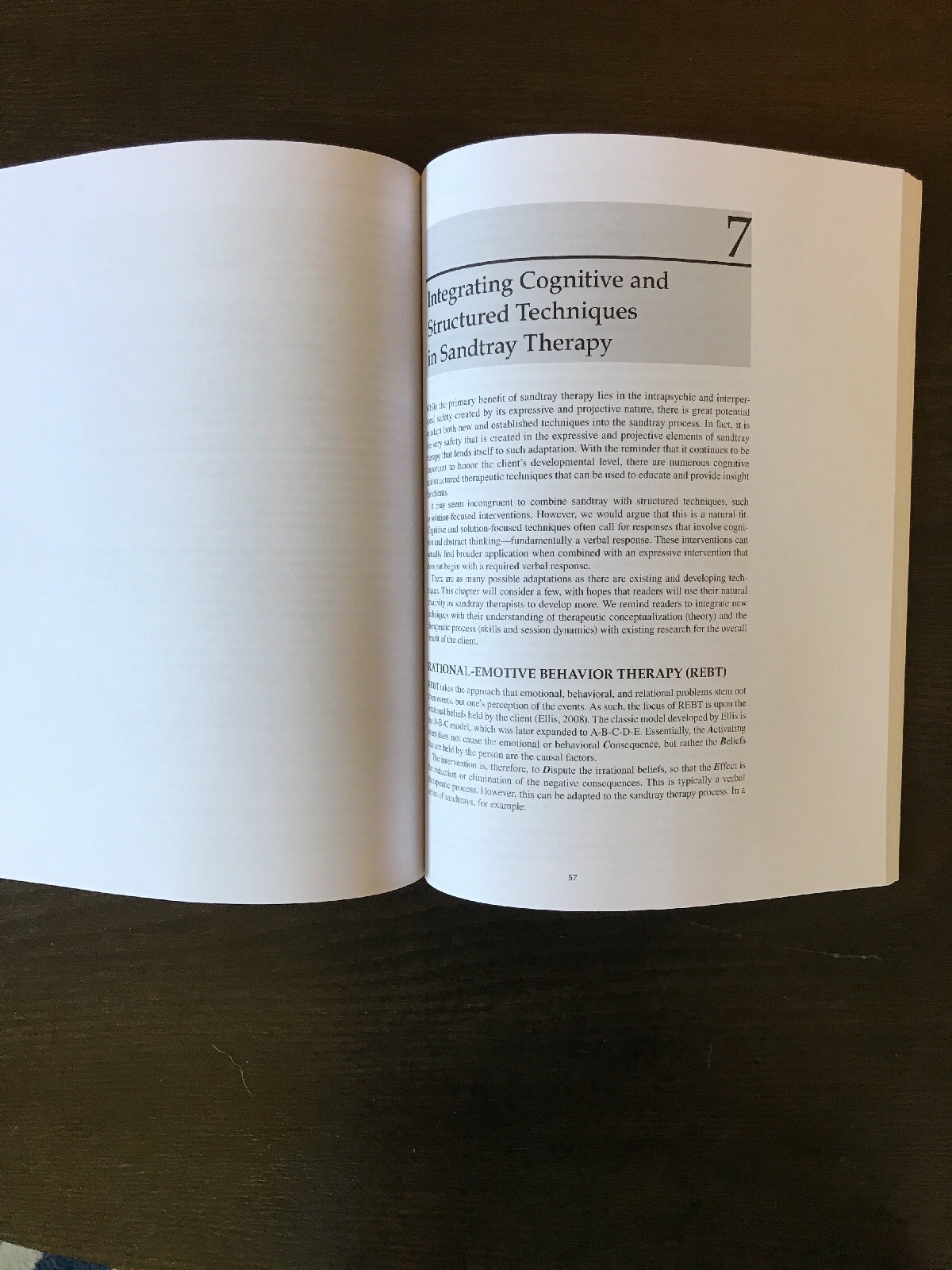 Sandtray Therapy : A Practical Manual by Linda E. Homeyer and Daniel S.  Sweeney (2010, Paperback, Revised) | eBay