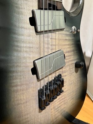Ibanez Axion Label RGD61ALMS | eBay