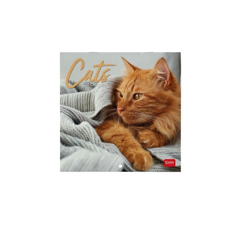 CALENDARIO 2025 da parete QUADRATO legami CATS cm 18 x 18