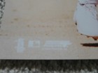 Foto 4 di 4