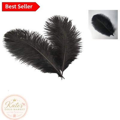 Elegant Ostrich Feather Plumes for Weddings & Crafts - 10 Black Feathers Pack