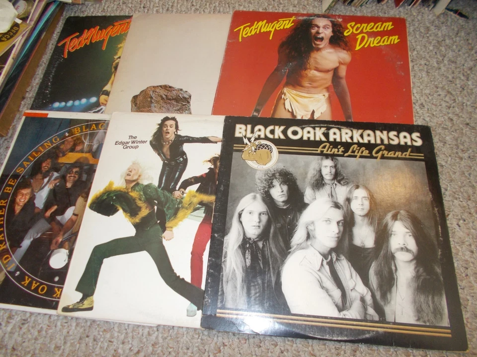 LOT OF 22 ORG CLASSIC ROCK LPS TOMMY BOLIN, BOSTON, NUGENT, FOGHAT Foto 3 de 4