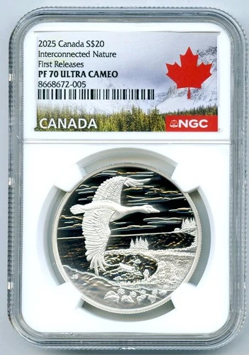 2025 $20 CANADA 1OZ SILVER FLYING GOOSE NGC PF70 PROOF INTERCONNECTED NATURE FR