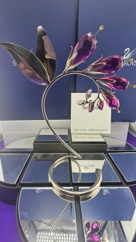 NEW~Swarovski Crystal~**DACEA FUSCHIA*~Austria~BOXES & COA~8" TALL~945871~FLOWER - Picture 11 of 15