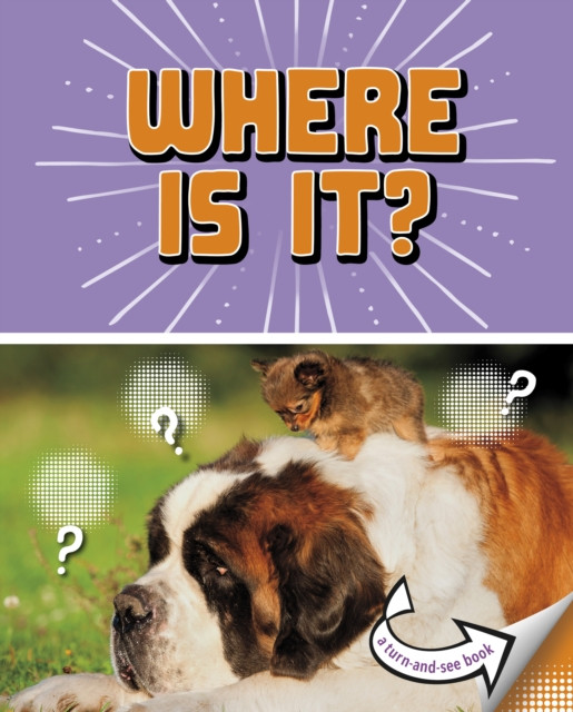 Where Is It? A Turn-and-See Book by Cari Meister (Paperback Book)