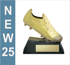 Football AFL  Rugby Soccer  Gold Galaxy Boot Trophy inc Year or Club Logo Decal