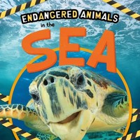 In The Sea | Emilie Dufresne | Englisch | Buch | Endangered Animals | Gebunden