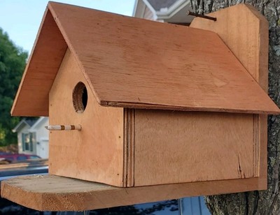 Custome Made Bird Houses
