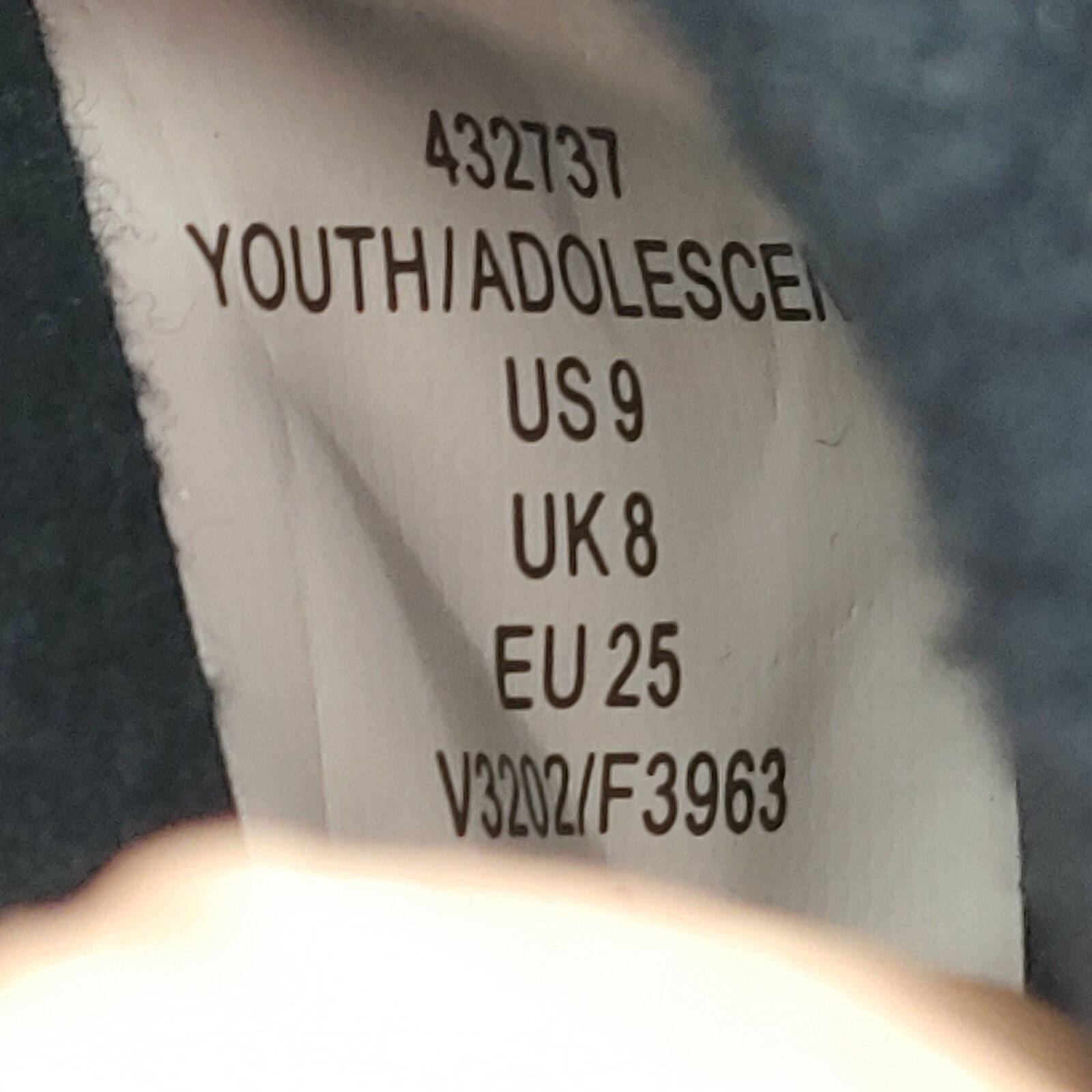 Picture 10 of 10
