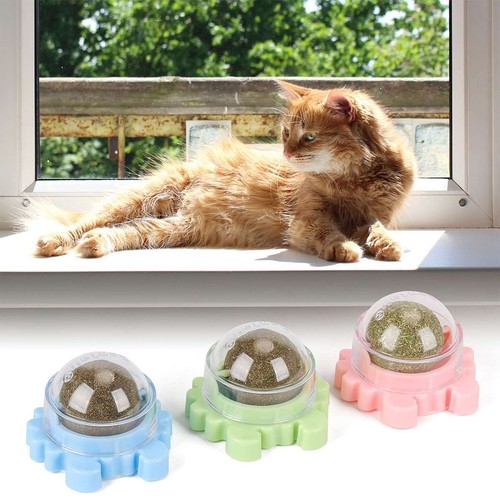 3x Drehbare Katzenminze Wandball Katze Zähne Reinigungsspielzeug Essbar Lecken Leckerli Spielzeug - Bild 6 von 12