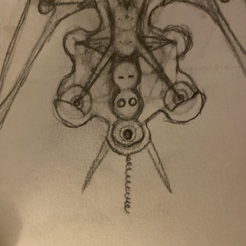 Picture Of Anubis: From the Source - Picture 7 of 8