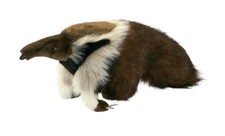 Hansa Toy 3986 Anteater 50 Cm Plush Toy