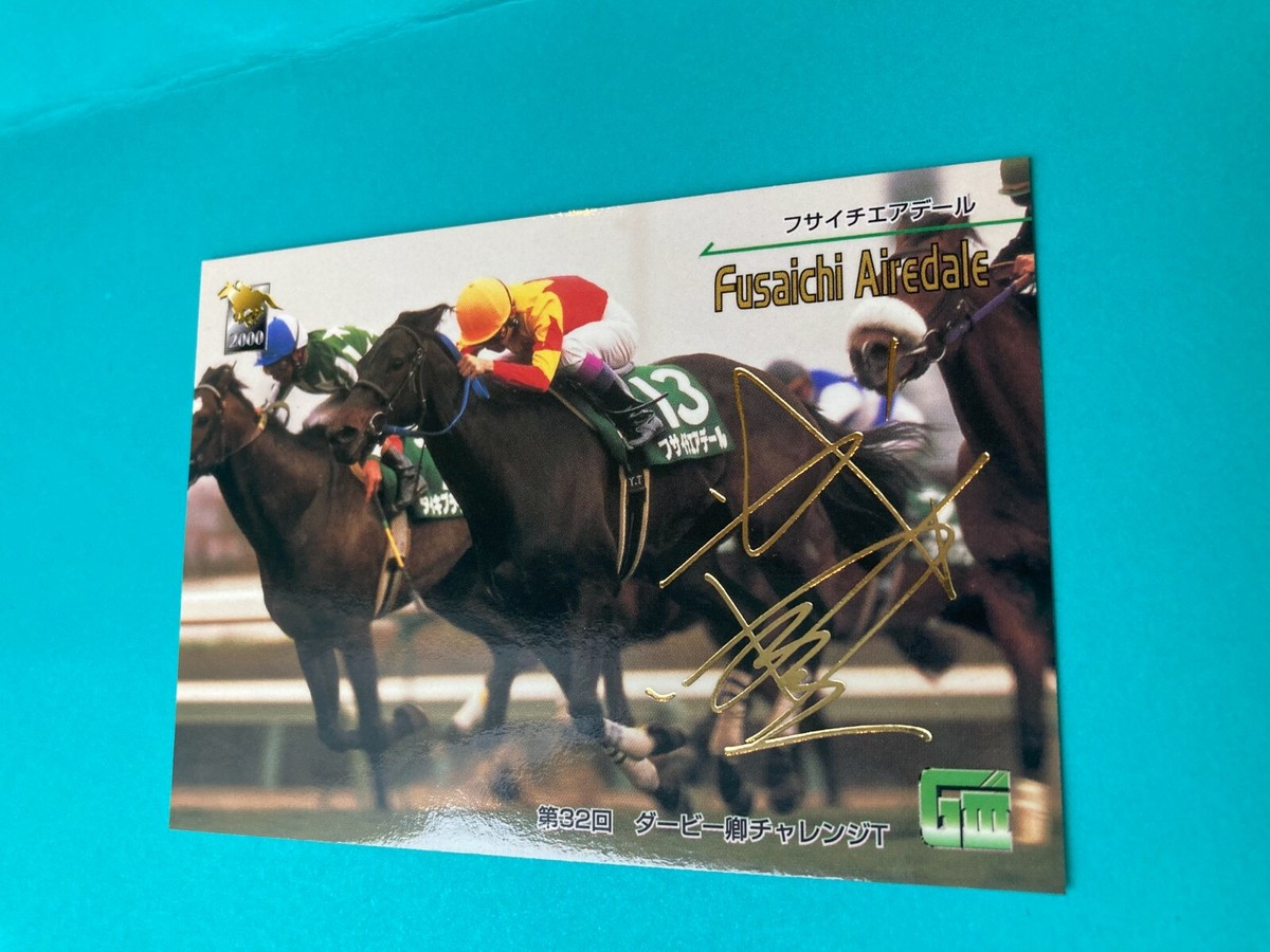 競馬Thoroughbred Cards File 緑色 競馬Thoroughbred Cards File 緑色 【公式通販】