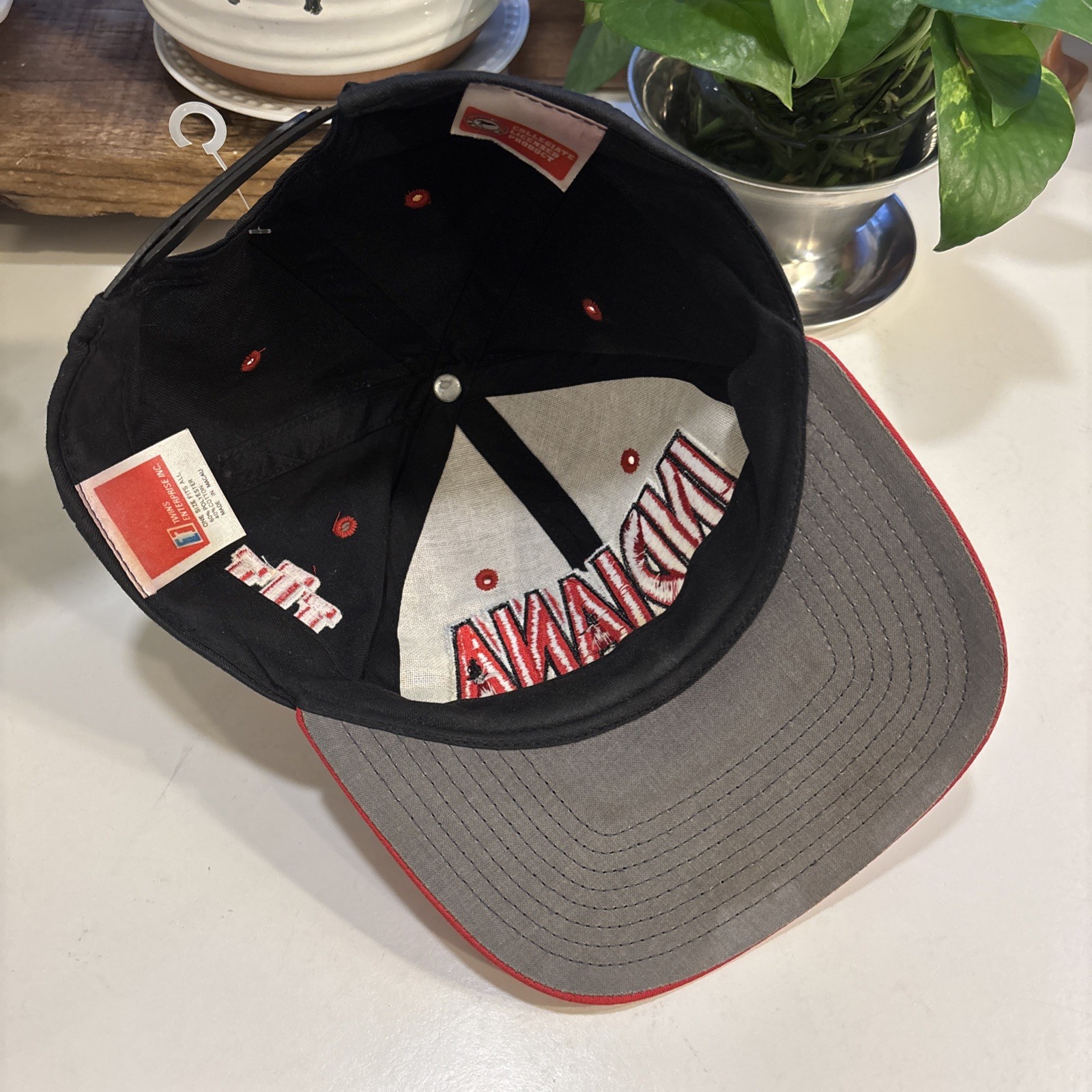 VINTAGE Indiana Hoosiers IU Hat Cap Snapback Logo 90s Twins Enterprise NCAA