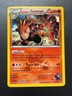 2015 Pokemon TCG XY Double Crisis -Team Magma's Camerupt- Holo Rare 2/34