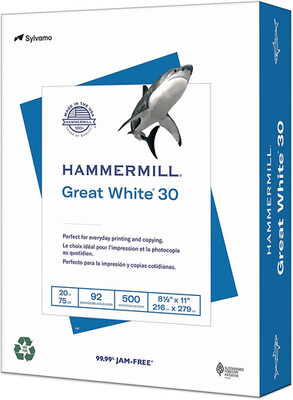Printer Paper, Great White 30% Recycled Paper, 8.5 X 11-1 Ream (500 Sheets) - 92