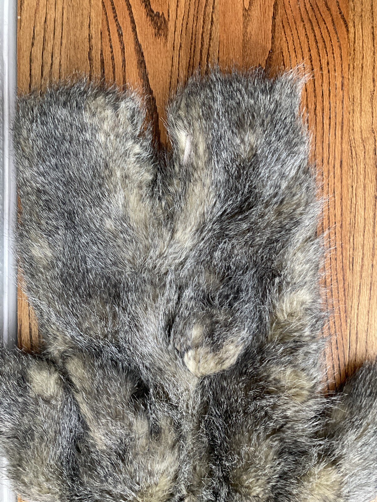 Pottery Barn Kids Woodland Baby Hedgehog Halloween Co… Gem