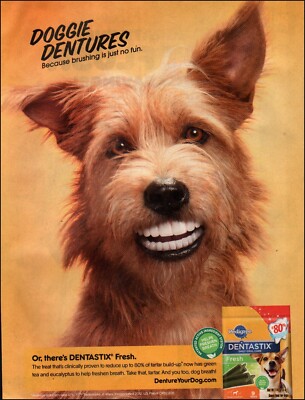 2012 Print ad Pedigree Dentastix retro dog product Funny Terrier