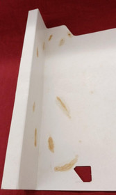 NEC Avenue FORGOTTEN WORLDS + Avenue Pad Limited PC-Engine - Japan Retro Game