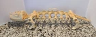 MOTU Vintage He-Man 1984 - BATTLE BONES - Action Figure Carrier -AS IS