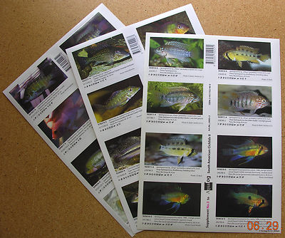 AQUALOG, South american Cichlids Vol. 1,2,3,Supplements | eBay