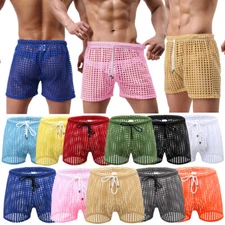 Sheer Mesh Men's Pouch Underwear Boxer Shorts Low Rise Underpants Trunks Briefs