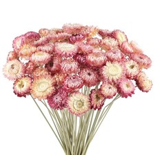 50 PCS Daisy Bouquet Dried Flower Natural Chrysanthemum Multicolor Wheat Straw
