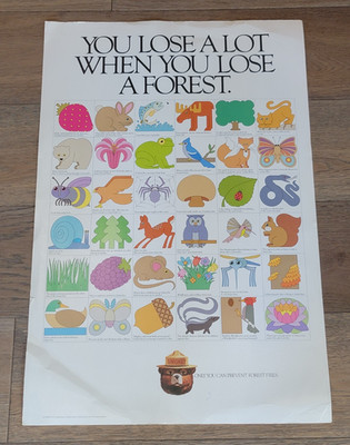 ORIGINAL 1981 SMOKEY THE BEAR ''YOU LOSE A LOT'' FIRE PREVENTION POSTER