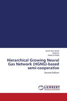 Ayoob Aziz Ayoob (U. A.) | Hierarchical Growing Neural Gas Network...