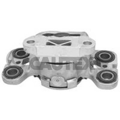 Lagerung Motor Cautex 774886 für Land Rover Vorderachse Links