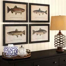 Trout Fish Framed Print Set Under Glass Wall Art Prints Rustic Cabin ~ Set Of 4