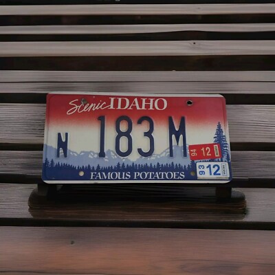 1993 Scenic Idaho License Plate Nez Perce County Big Pine On (R) N183M Man Cave