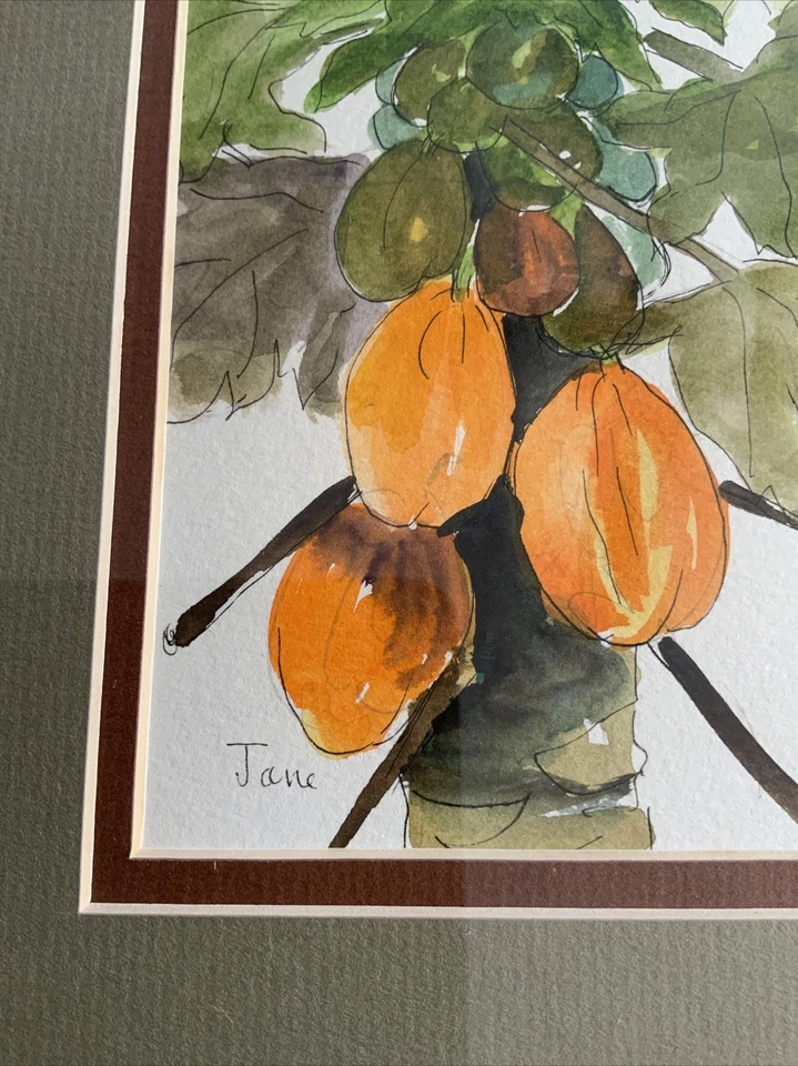 Pintura Original Jane Albert Paw Paw Trinidad y Tobago. Artista listado Foto 3 de 4