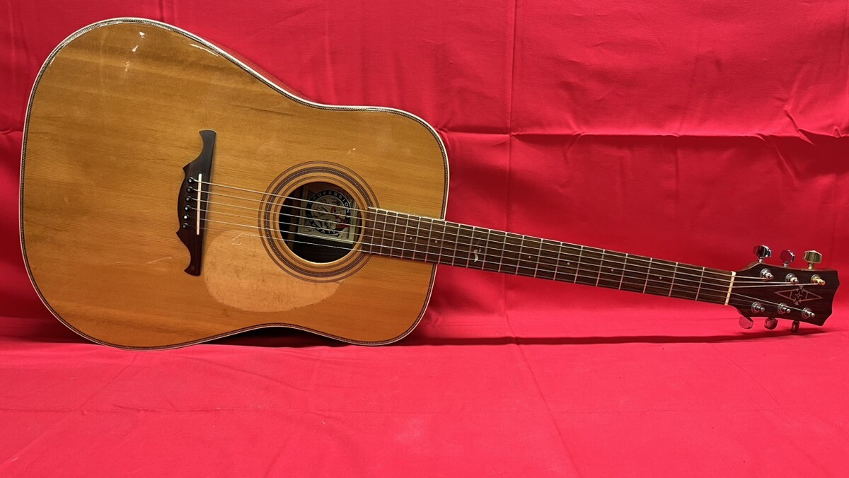 Alvarez アコースティックギター ヴィンテージ - ギター
