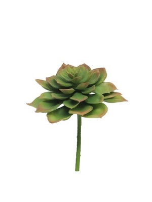 artplants Kunst Echeveria morani XINYA auf Steckstab, grün-rot, 17 cm