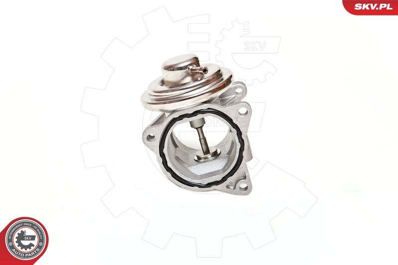 ✅Fits SKV GERMANY 14SKV019 EGR VALVE  ⭐UK Seller⭐