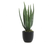 Aloe Vera 35cm Kunstpflanze im Topf Grünpflanzen Dekopflanzen künstlich Plastik