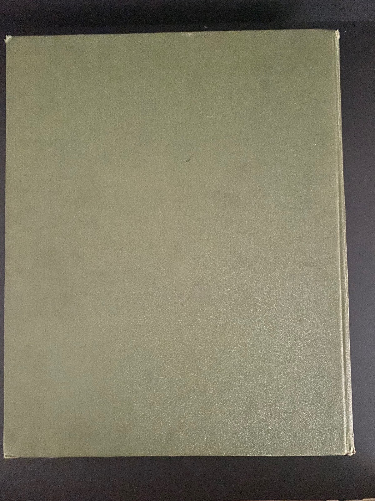 Picture 15 of 15