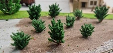 20 Dark Green Bushes, Shrubs, 28 And 40 Mm High
