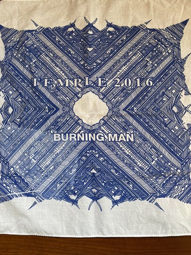 Rare Vintage 2016 Burning Man Imperfect It Survived :) - Picture 2 of 13