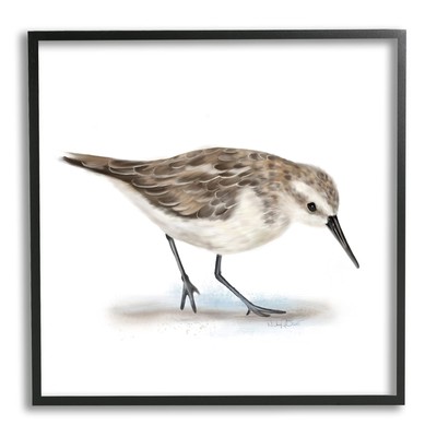 Charming Sandpiper on Soft Sand Brown Nautical Bird, Designed by Studio Q Bla...