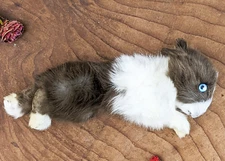 Tiny Rabbit specimen Craft Taxidermy Oddities curiosities bunny animal gift