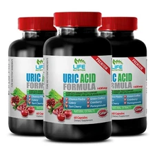 natural gout treatment - Uric Acid Formula 1430mg - cherry extract 3 Bottles
