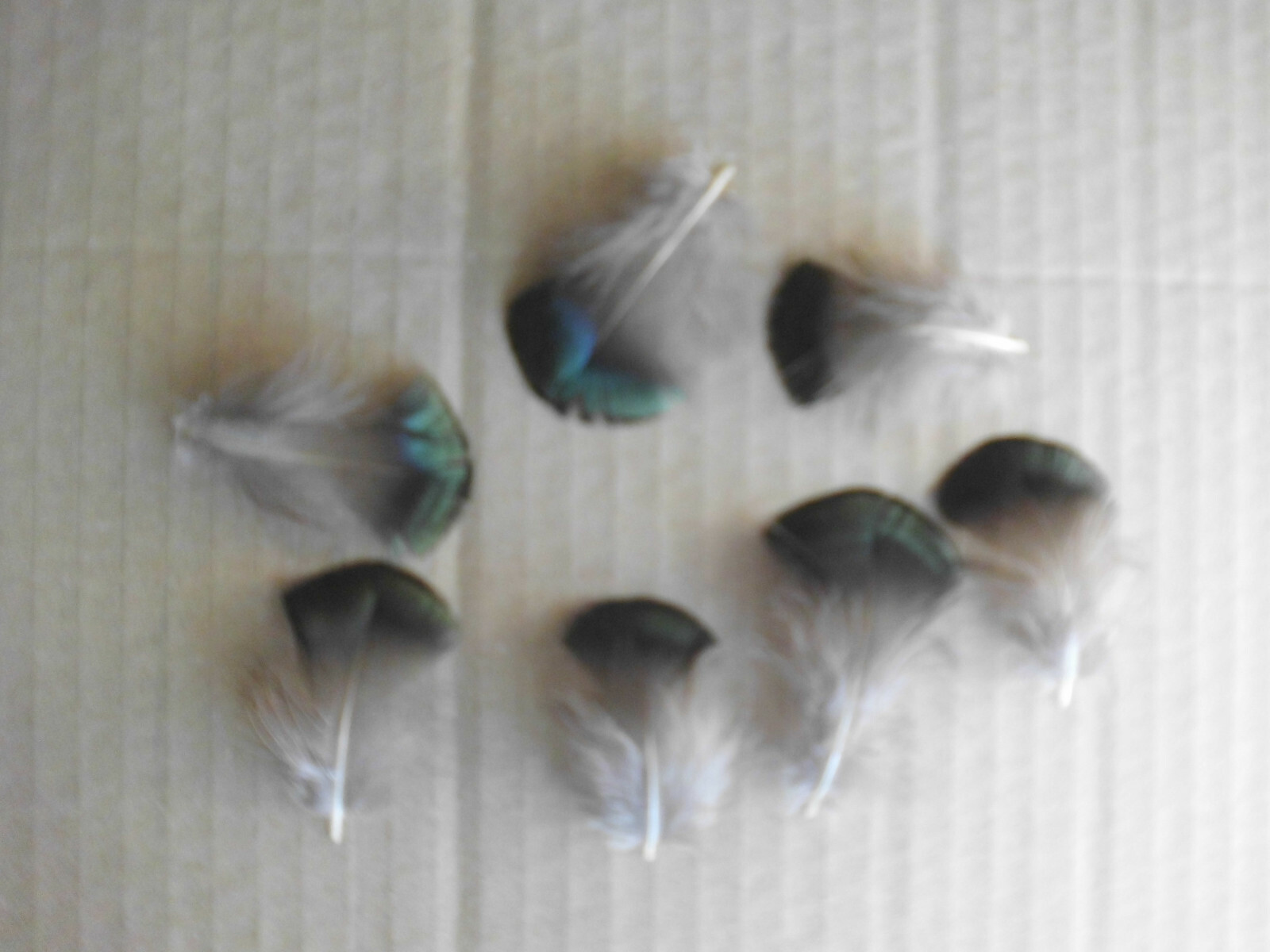 Bild 1 von 3
