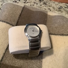 Skagen Denmark 256SSXC Women's  Silver Dial Quartz Stainless Steel Watch