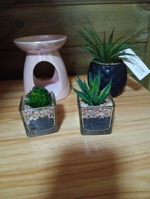dekorative Mini Pflanzgefäße & Ölbrenner Vase NEU EINGESTELLT