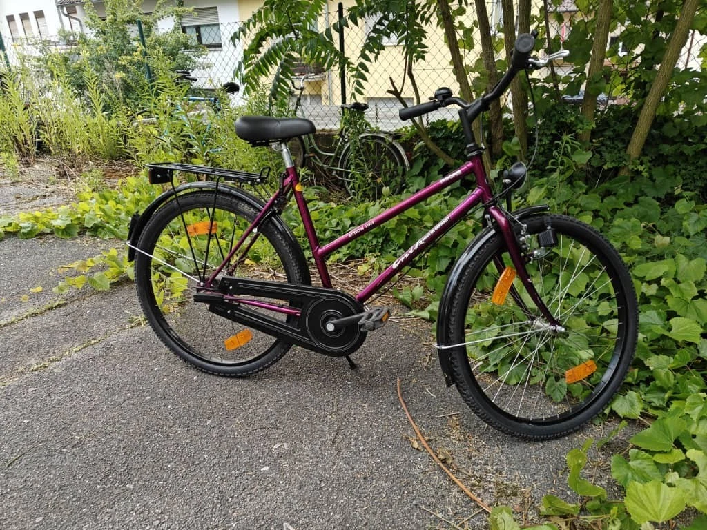 fahrrad gepäckträger für e-bikes 3 in1 E-Bike R6 / R6 Neo / R6 Neo II / R8 Fle – SachsenRAD Bh Organizer Dunkelrot Farbe:Squirrel Grey Matt