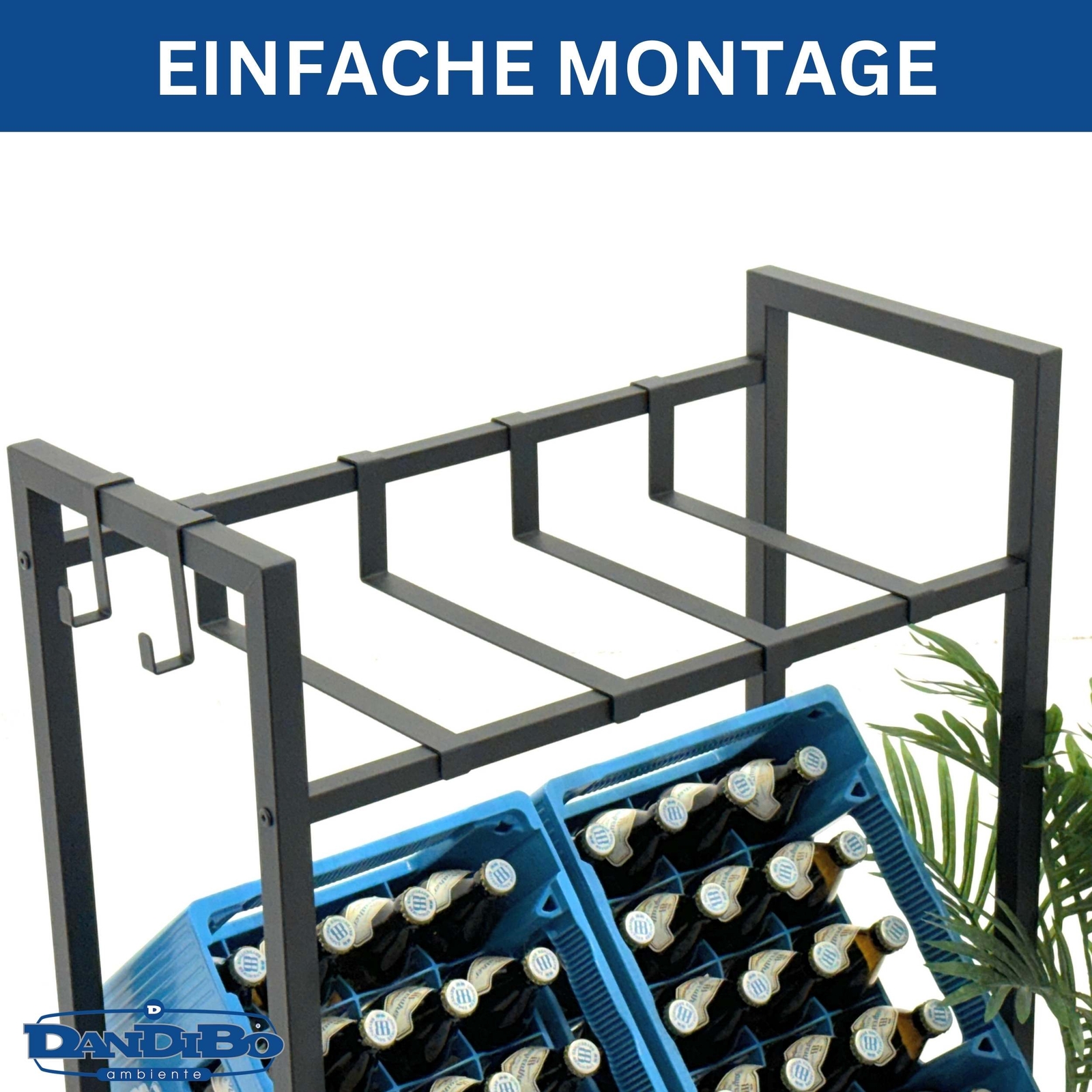 Bild 5 von 11