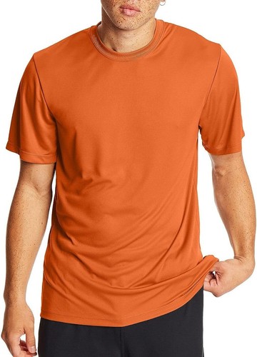 Hanes Sport cooles DRI Performance T-Shirt für Herren (2er Pack) - Bild 18 von 23